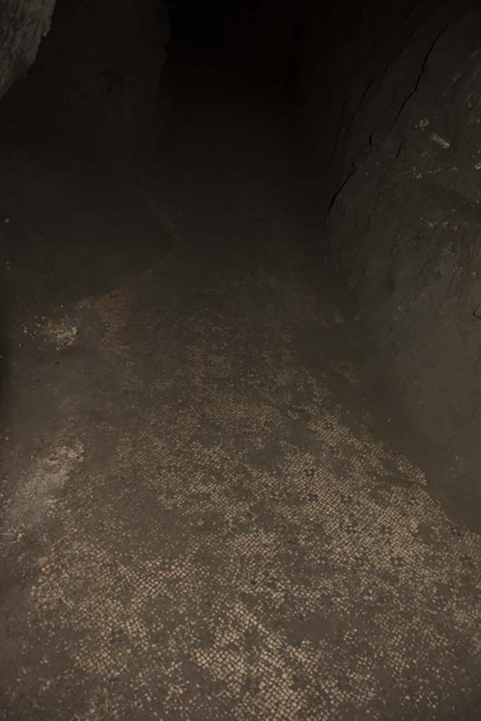 Villa dei Papiri, March 2019. Flooring in Bourbon tunnel.
Foto Annette Haug, ERC Grant 681269 DÉCOR.